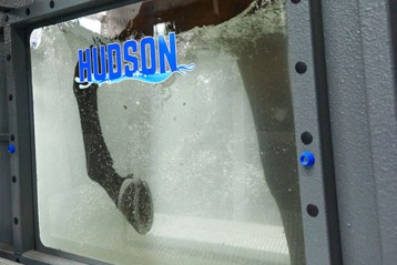 Hudson_Unbridled_Equine_AquaPacer_window_hudson_g
