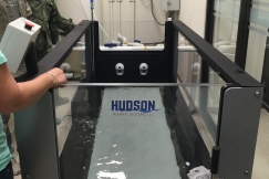 Hudson AquaPaws in Mexico military base tour2