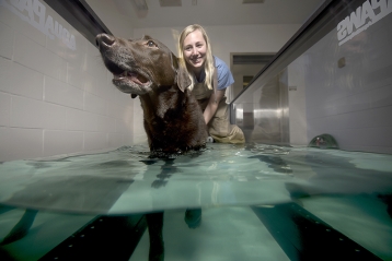 Jessica Bowditch, a veterinary neurology and physical rehabilitation technician, works with Charley, a Labrador Retriever, in the underwater dog treadmill at the Purdue University Small Animal Hospital. The treadmill helps rehabilitating dogs and also can be used for dogs who need a different way to exercise. (Purdue University photo/Charles Jischke)