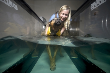Jessica Bowditch, a veterinary neurology and physical rehabilitation technician, works with Tiger, a pit bull mix, in the underwater dog treadmill at the Purdue University Small Animal Hospital. (Purdue University photo/Charles Jischke)