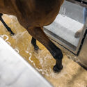 AquaPacer Plays Key Role in Prehabilitation - Set your horse up for success before heading to the OR