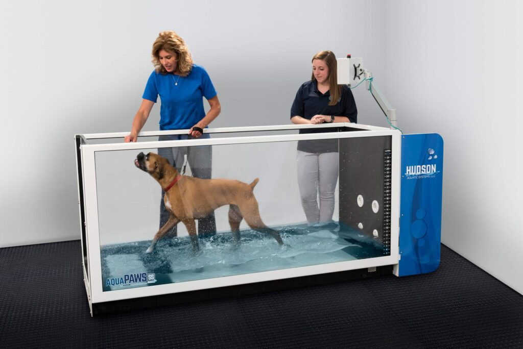 AquaPaws Plus water treadmill for canine therapy