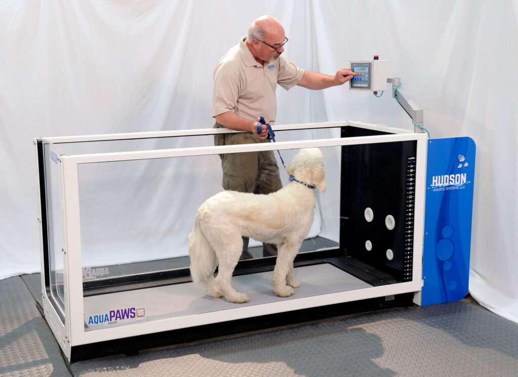 Hudson Water Treadmill For Veterinary Use