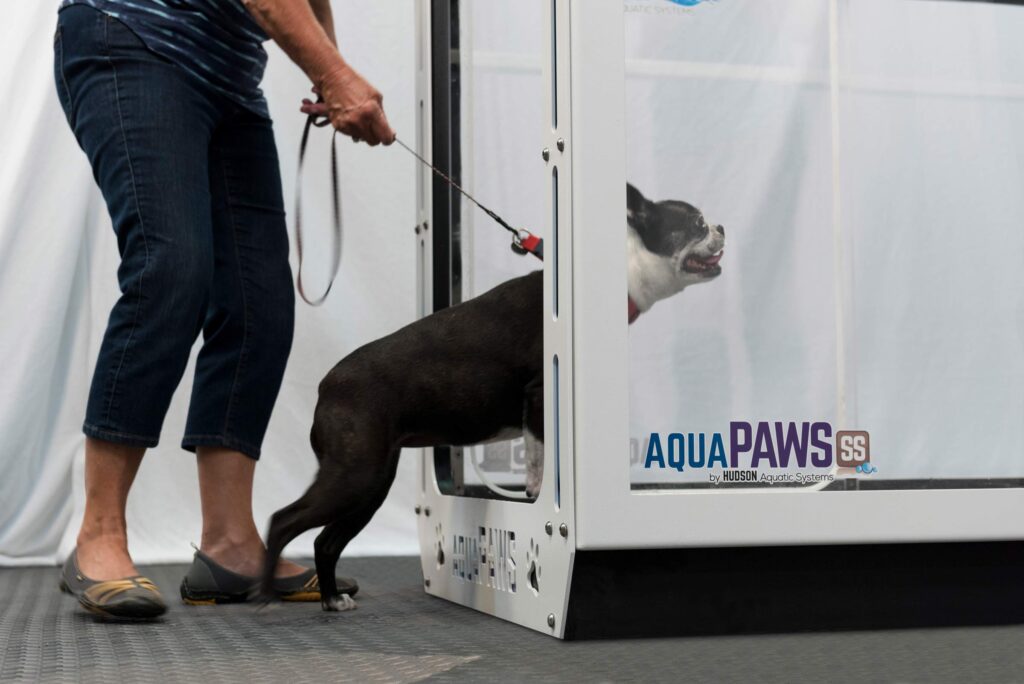 Water Treadmill For Dogs From Hudson Aquatic