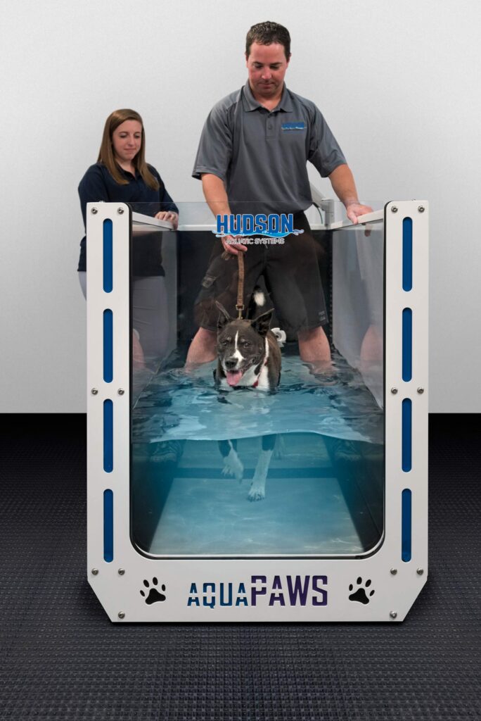 AquaPaws Plus canine hydrotherapy treadmill