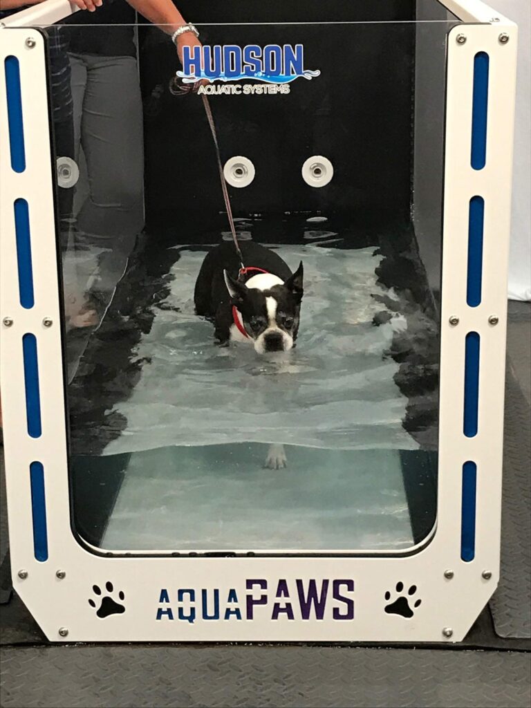 AquaPaws Plus Canine Water Treadmill