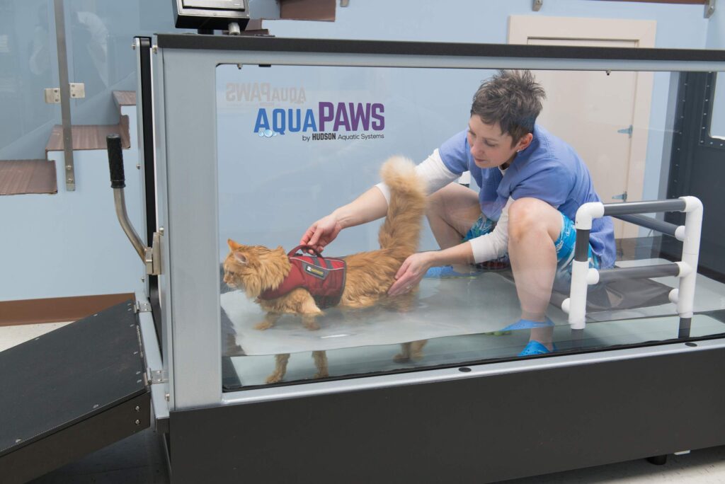 AquaPaws Plus for cats