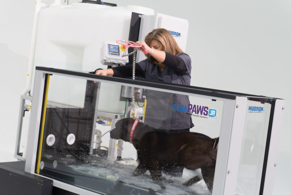 Canine Water Treadmill Using AquaPaws Mod Pro System