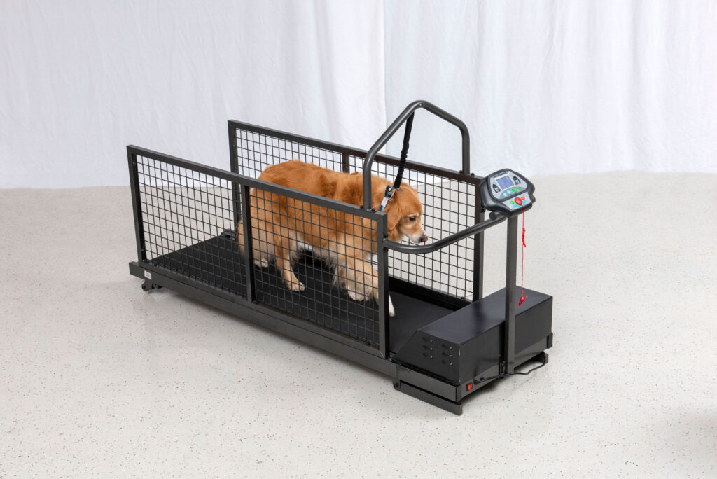 Air Paws Land Treadmill for canine therapy