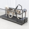 Canine Treadmill Therapy