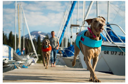 Ruffwear float coat medium store
