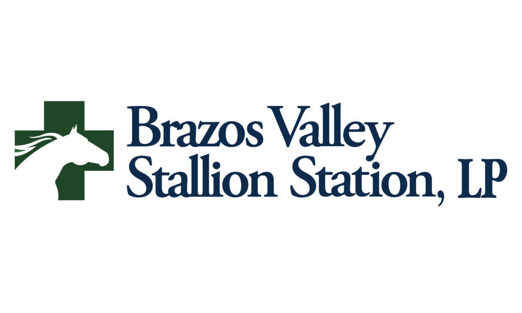Brazos Valley Equine Rehabilitation
