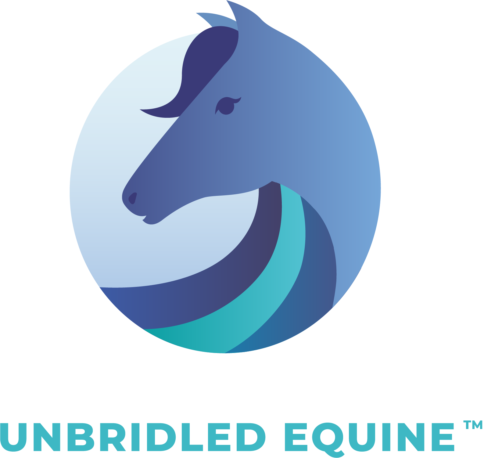 UE-Logo-Teal-2