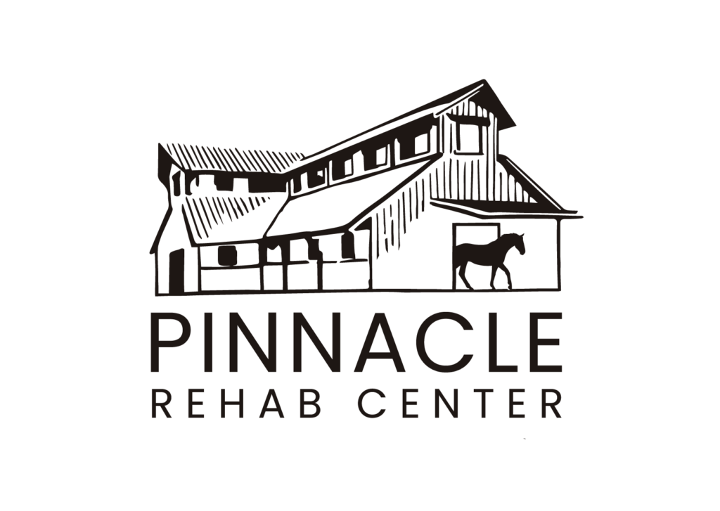Pinnacle Rehab Center