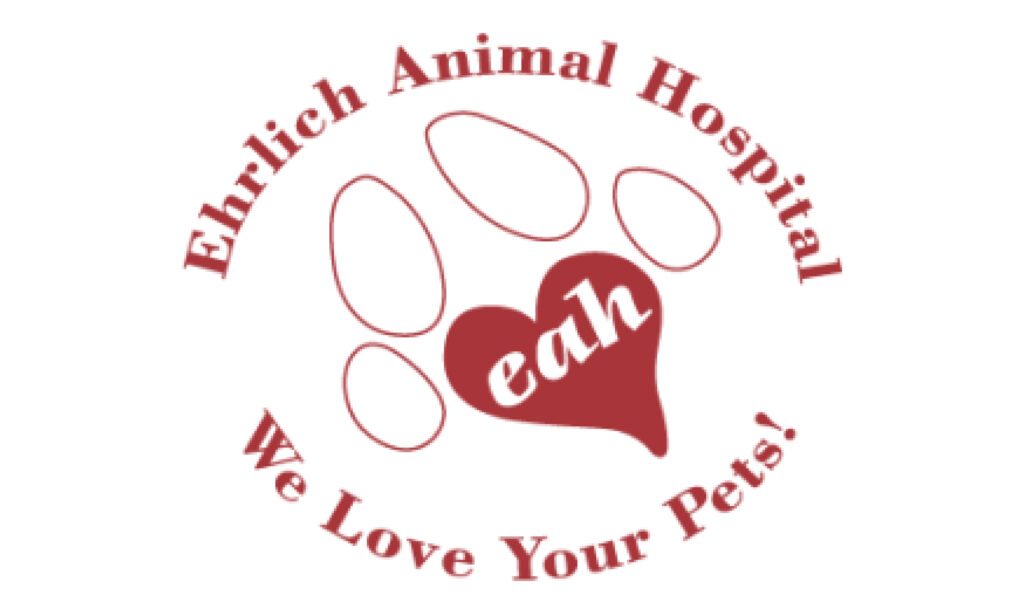Erlich Animal Hospital- Tampa, FL