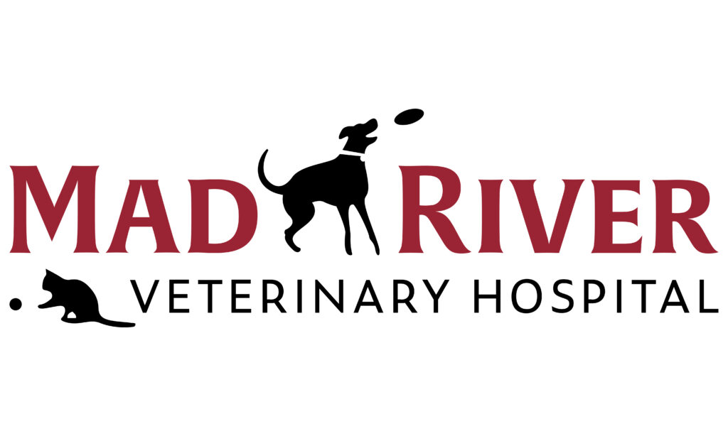 Mad River Veterinary Hospital- Springfield, OH