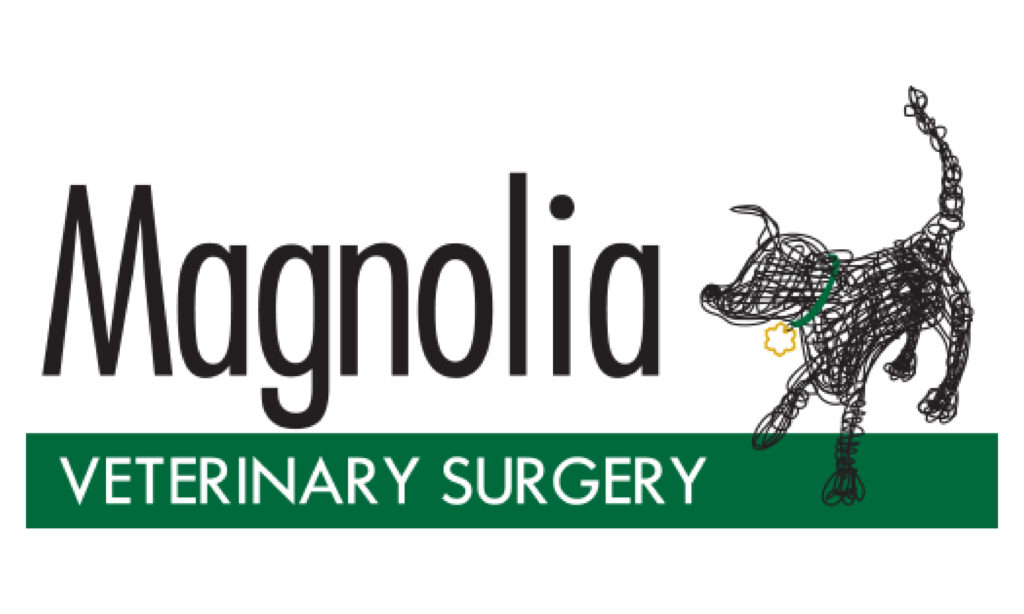 Magnolia Vet Surgery- Tupelo, MS