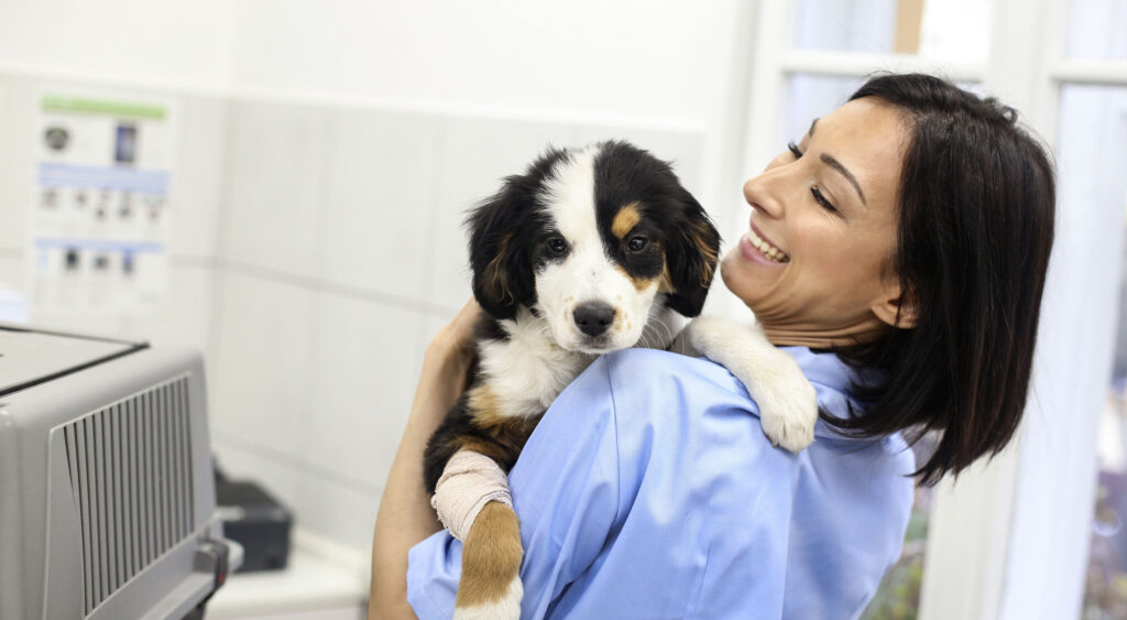 Hudson veterinarian with dog