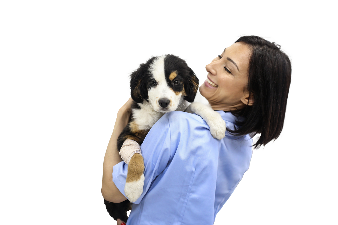 Veterinarian Holding Dog